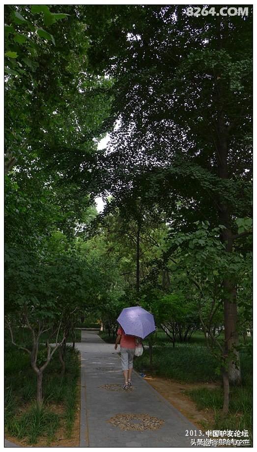 山东行游影记（18）—济南山东大学（五）