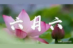 “雨水多不多，就看六月六”，今日六月六，它是啥日子，有何预兆图片