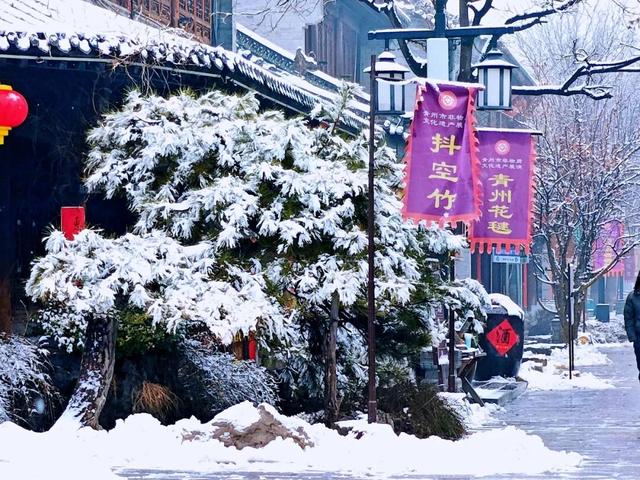 接下来的潍坊，你期待了吗？