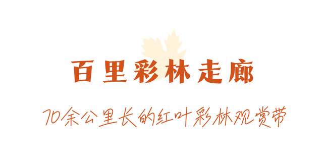 走不出这画了，我已被平武的彩林迷倒！