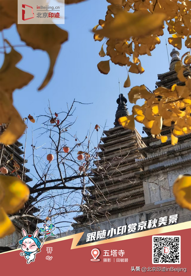 故宫的秋、长城的风，冬日再赏依旧心动