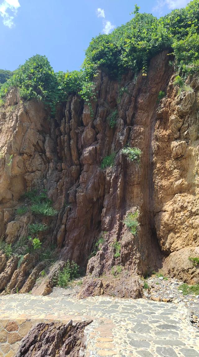 夏日东北行:8月7日,在大连金石滩,观察典型海岸侵蚀地貌。