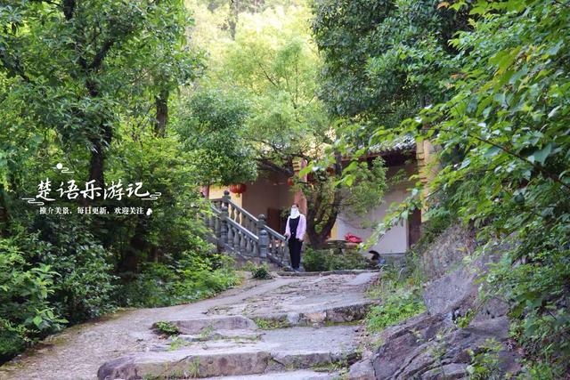 浙江宁波的登山步道，被人誉为宁波的满觉陇，丛林秘境真的太美了