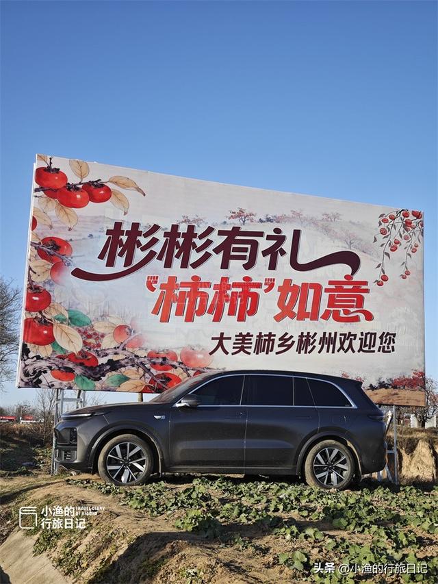 今冬顶流！陕西这片柿子林爆火出圈，美到封神！攻略来啦
