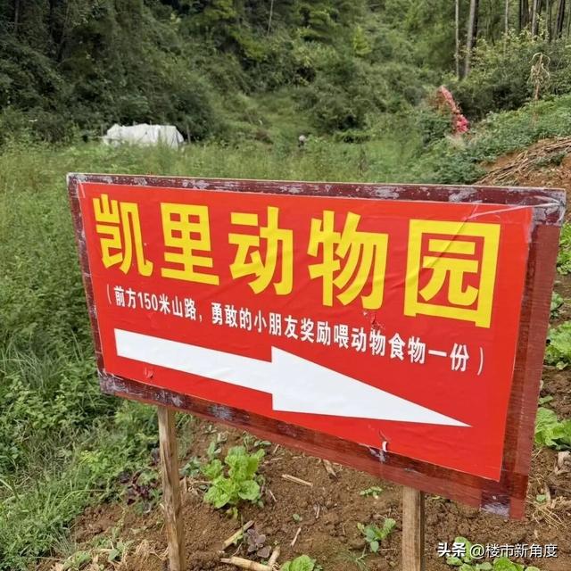 贵州凯里动物园，为什么会成为网络最热门的动物园？