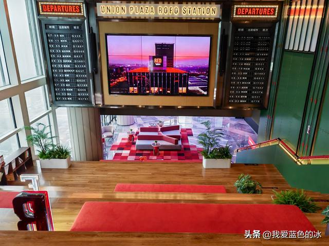 参观广州长隆野生动物园，全程感觉眼累手累腿不累