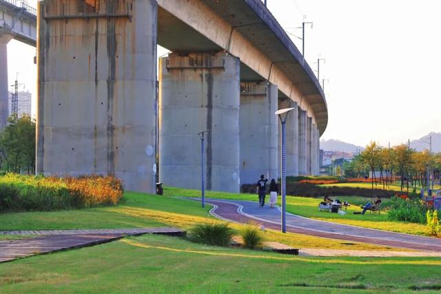 三条高铁并行！桥下还有“宝藏”，等你发现！