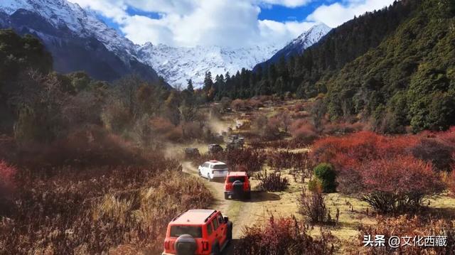 哇塞！西藏这里美出天际！冰川彩林，美成仙境！