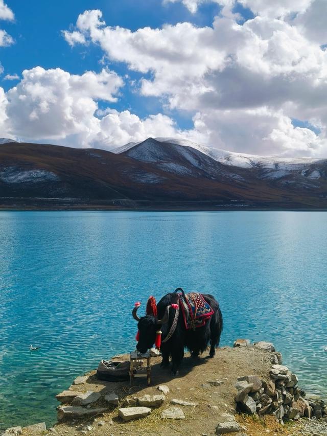 拉萨必去十大景点排行榜，这才是拉萨最值得去的10个景点，收好！