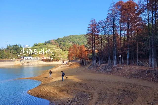浙江绍兴的网红水库，因红杉胜境而出圈，具体怎么游请看详细攻略