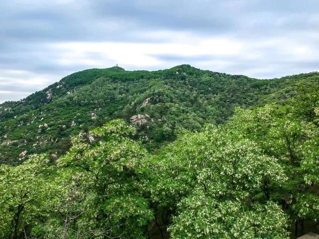 打卡《生万物》《我们的河山》同款沂蒙热土！来临沂赴一场红色研学之旅~