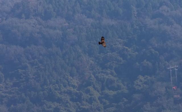 这个秋天 我想离开浪浪山去千灵山看看