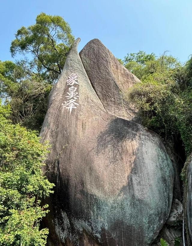 厦门植物园专类园区蔷薇园，始建于1995年，蔷薇科植物的浪漫王国