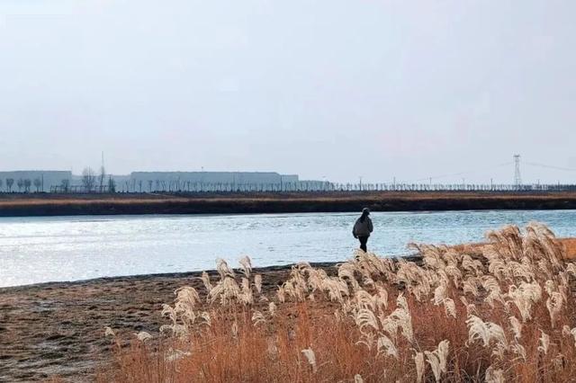 秋深景更美！运城最绚烂时刻到了！