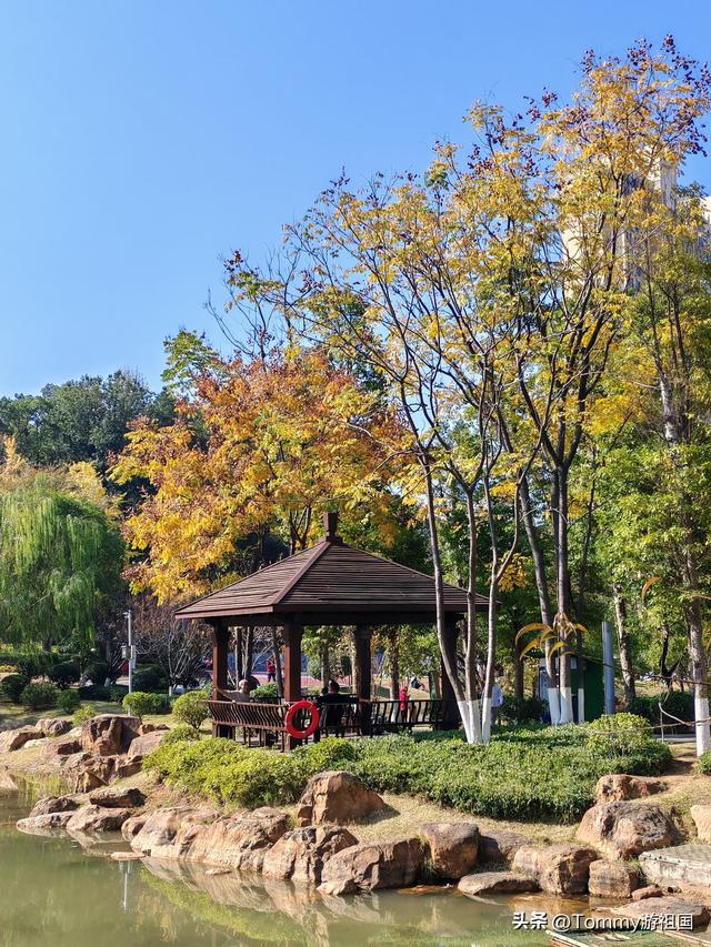 开着房车去流浪：打卡长沙狮子山公园