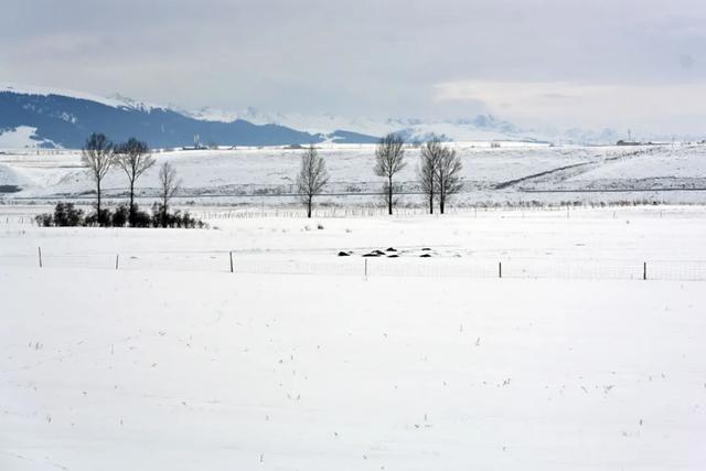 如要选一个冬季最佳拍雪景的地方,首选一定是它