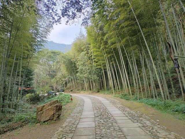 2025秋游：严子陵钓台 . 黄公望隐居地