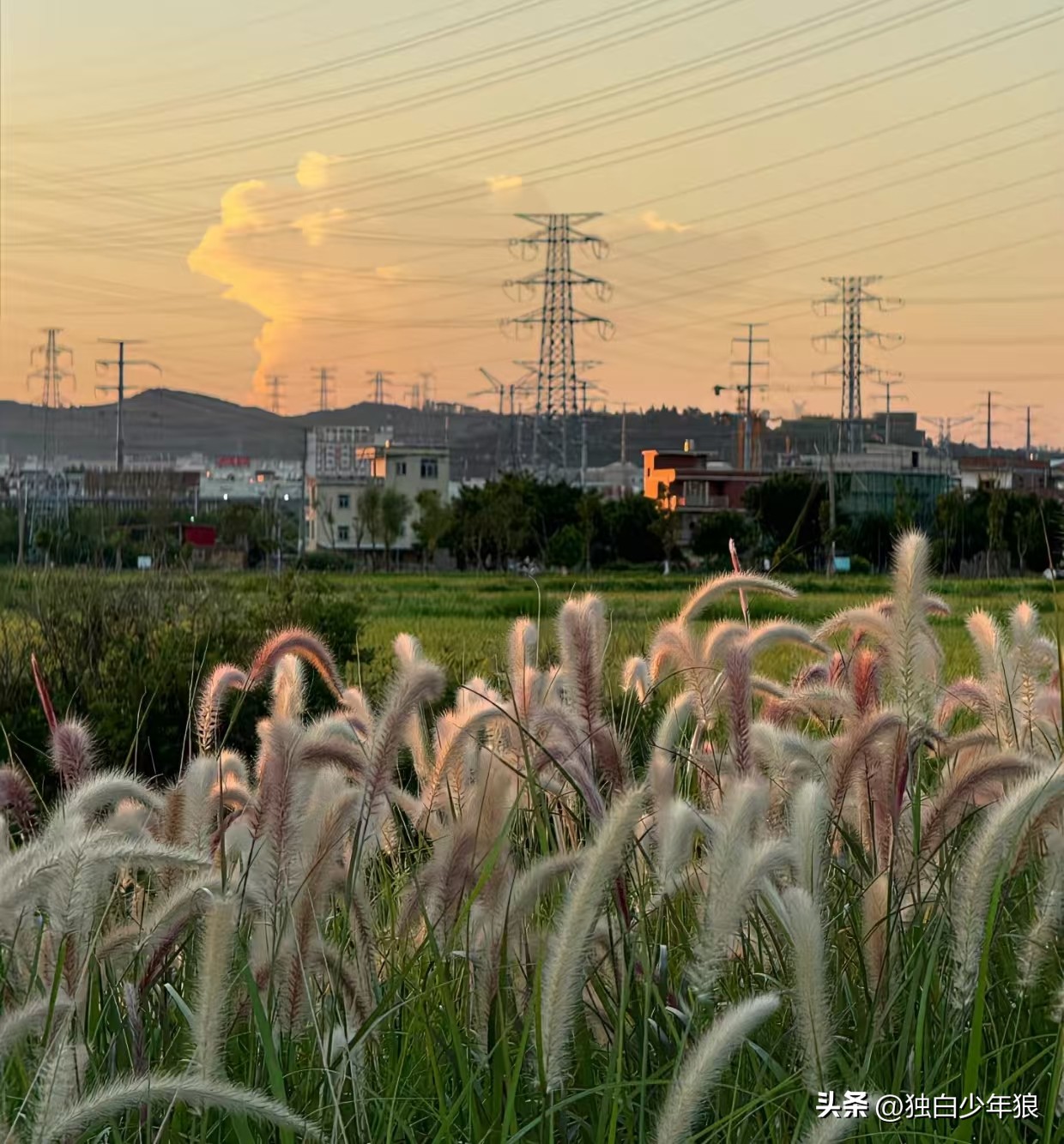 中年失业后适合的工作_有谁能和我一起开个劳务中介_中年人失业做什么好