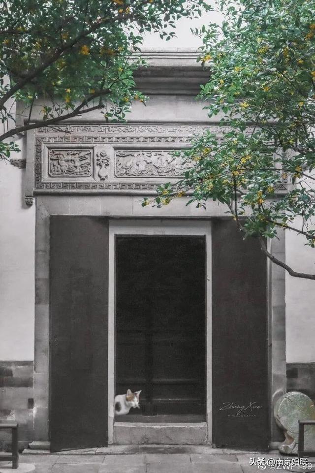 秋日南京，金色相逢