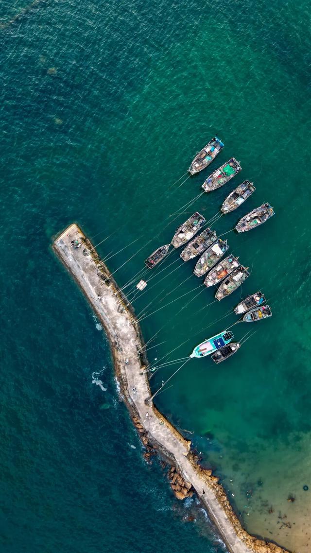 6城上榜！2025康养百强榜出炉，山东凭什么这么能打？