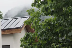 一帮年轻人不想上班，扎堆秦岭一村子，同住坡上坡下图片