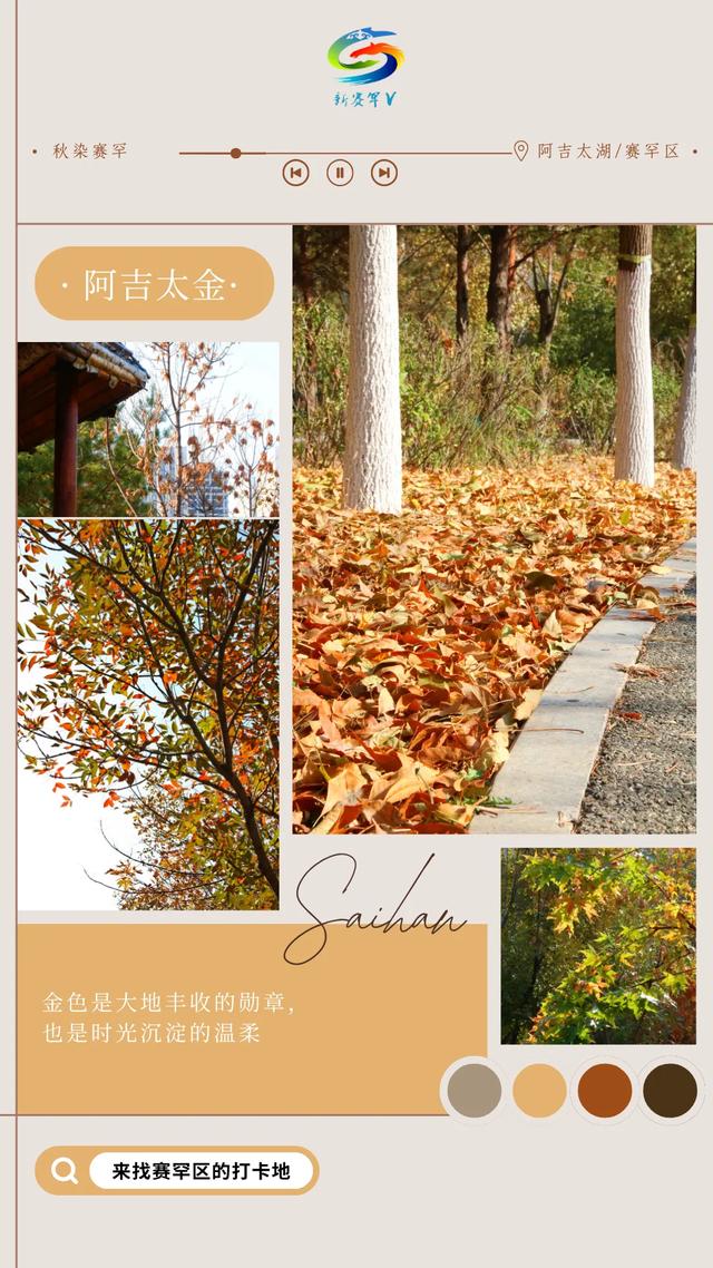 北疆文化 遇鉴赛罕 | 赛罕秋日色彩定义