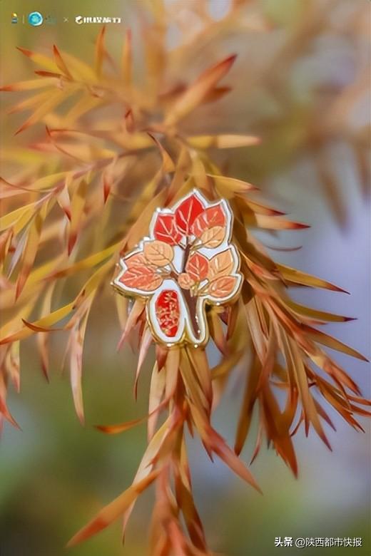 又到巫山红叶时：以叶为媒，巫山在渝向世界发出赏秋盛邀