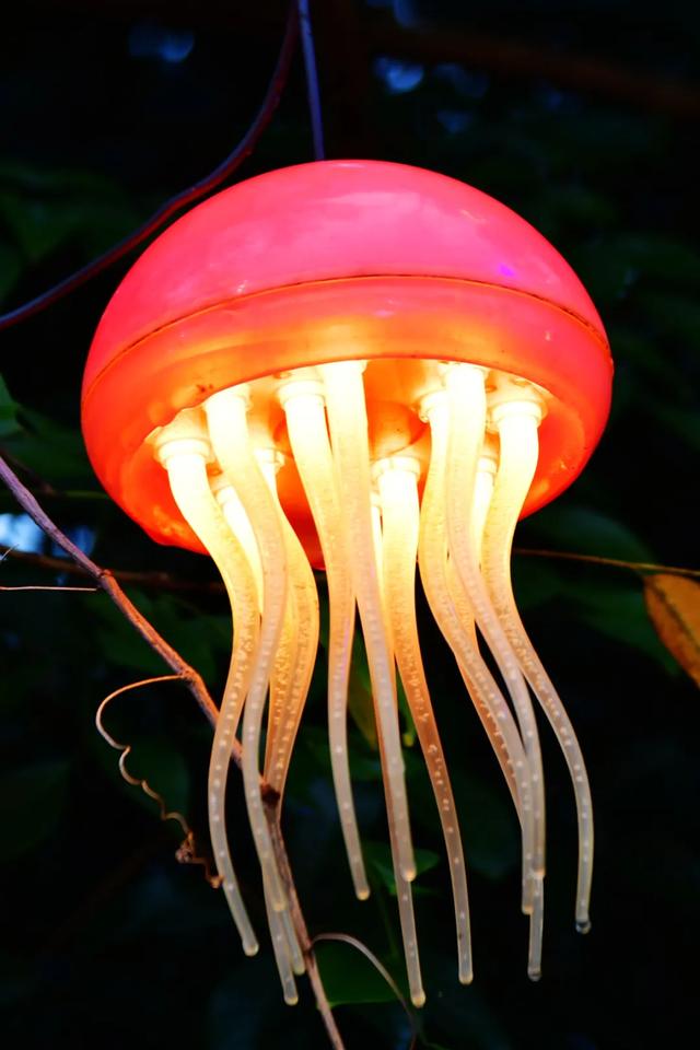 桂林：首届非遗千灯游园，光影艺术璀璨盛宴！