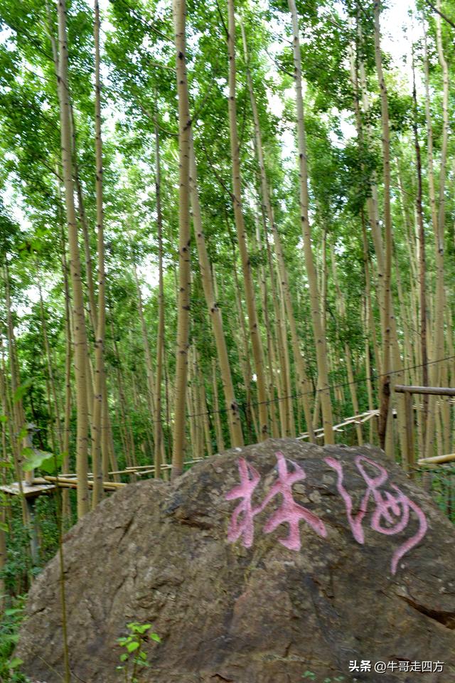 河北百草畔（上）：风动孤石悬险韵，蚁巡深岭蕴生机