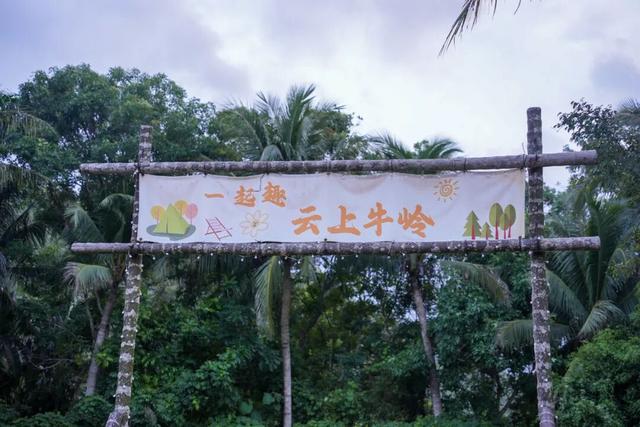 陵水再获殊荣，入选2025中国县域旅游发展潜力百强县市！