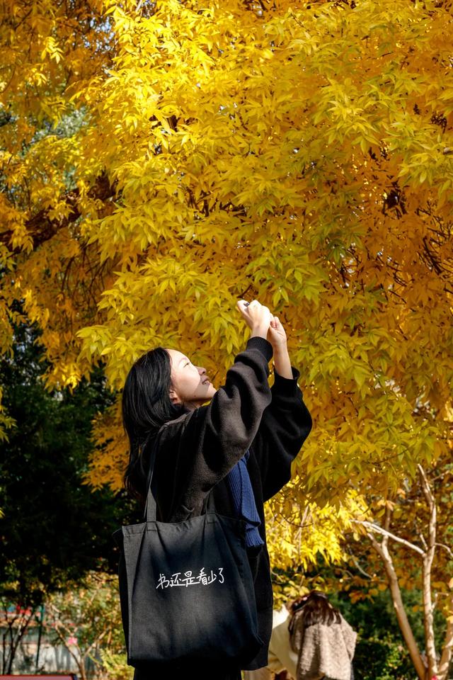你会怀念这个秋天吗?