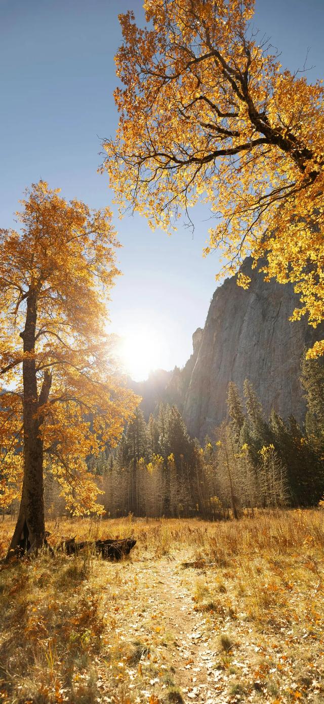 今日份的壁纸已送达