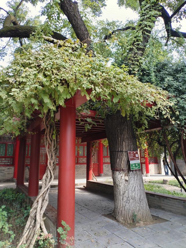 书院街的旧时光