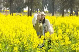 免费！半价！三八节还没想好去哪儿过？超全景点优惠已整理→图片