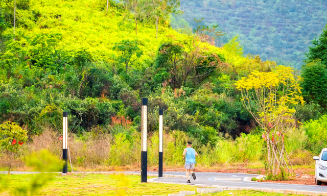 走！怀集人遛娃散步就去这...