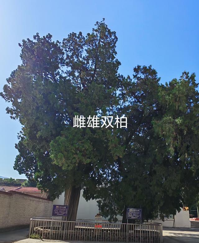 山西深度游—朔州旧广武城
