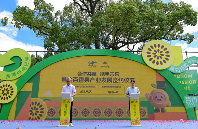 【古风新韵·“香”约进贤】2025邵武和平黄金百香果采摘季暨农文旅嘉年华圆满收官！