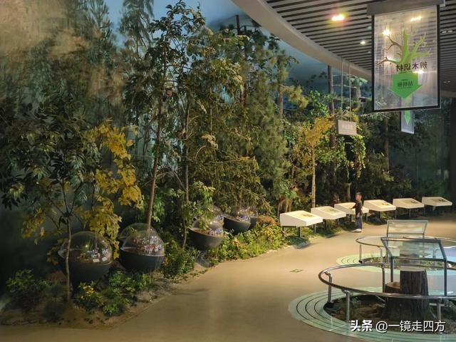 通化市自然博物馆