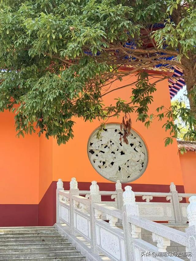 遛娃休闲两不误，在长沙“小禾木”邂逅12月初的灿烂风光！