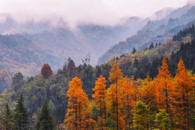12月四川景区最新免费或半价活动汇总！部分持续到明年→