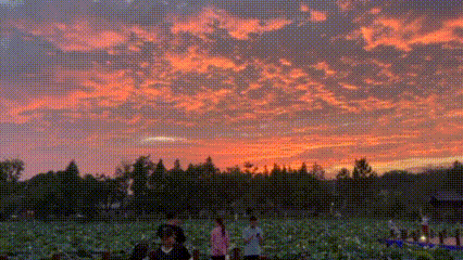 丹青泼墨处 烟火映新城