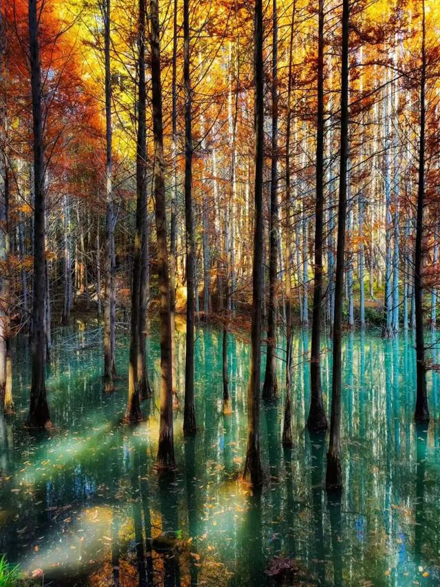 杉 杉 来 了 🤗🧣🧡