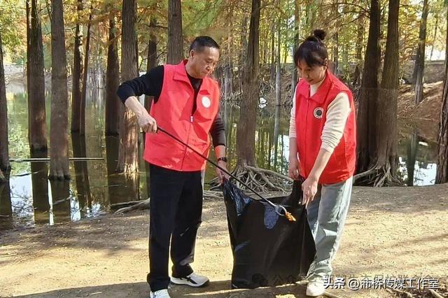 最美水杉林里志愿红