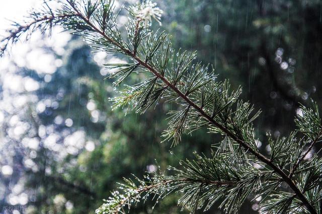 新手露营总踩坑？3 个轻装技巧，用保温袋、密封盒搞定食材 / 装备