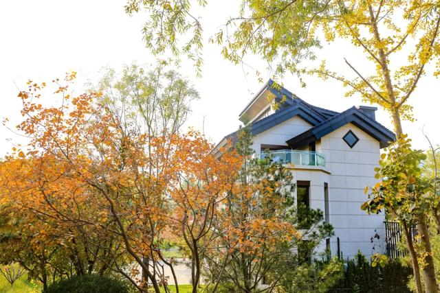 从从容容游刃有余!把江南的秋天“搬进”石景山——