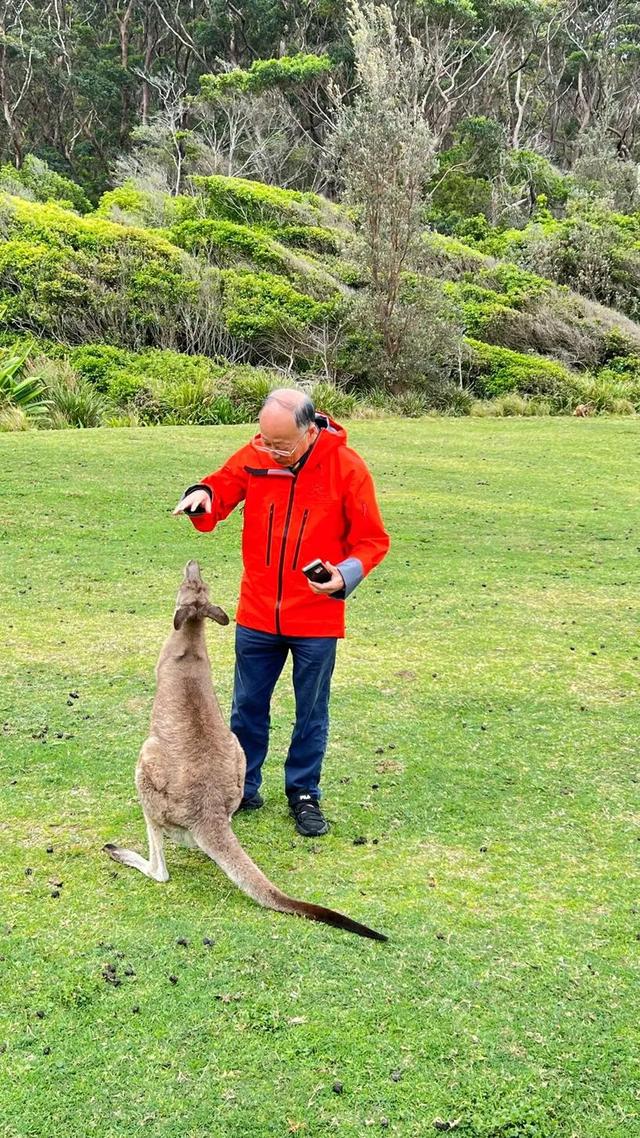 〔读城〕澳洲小镇游记
