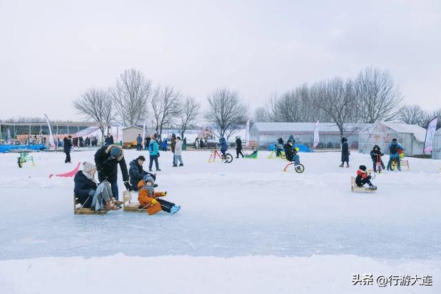 除了海，大连冬日“顶流”竟然是它们？