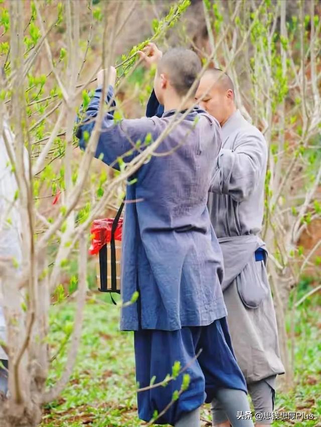 释永信虽然喜欢女人，但全球40座分寺 300万弟子 他并不是一无是处