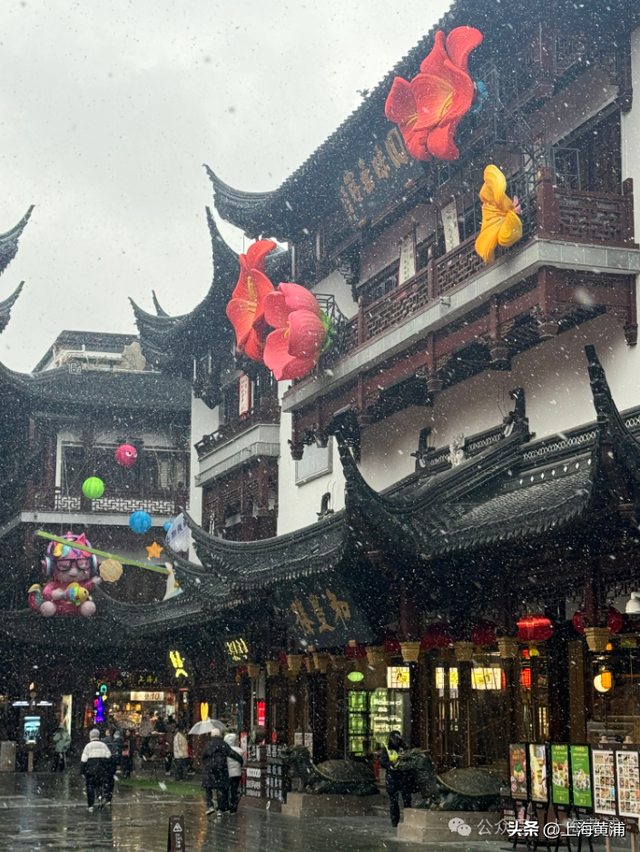 雪落豫园，绘就江南诗意画卷