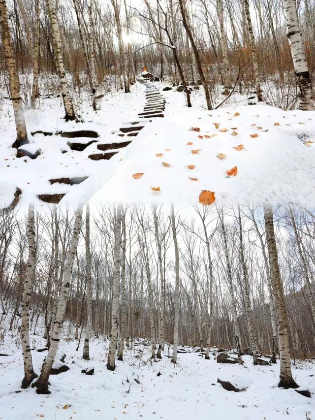 此刻的北京，见证秋与冬的双向奔赴